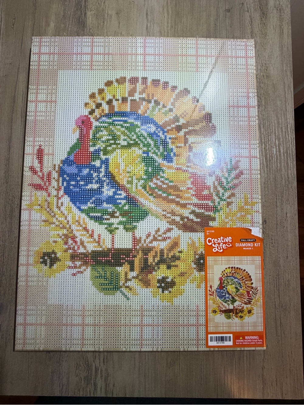 🆕💜 Hobby Lobby Creative Life Turkey Diamond Art Kit Complete w/ Tools & Gems